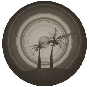 solarprint-round-palms-2.jpg