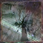 Twilights