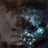 Deep Woodland